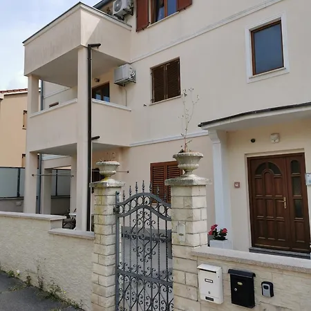 Mango * פאז'אנה