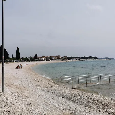 Mango * פאז'אנה