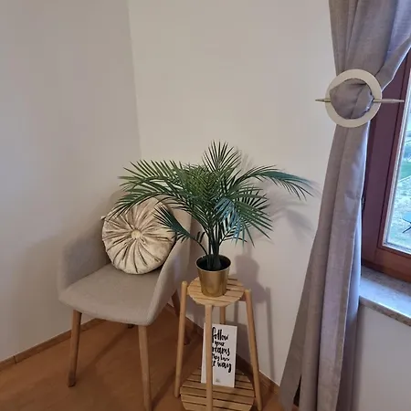 Mango * Fažana
