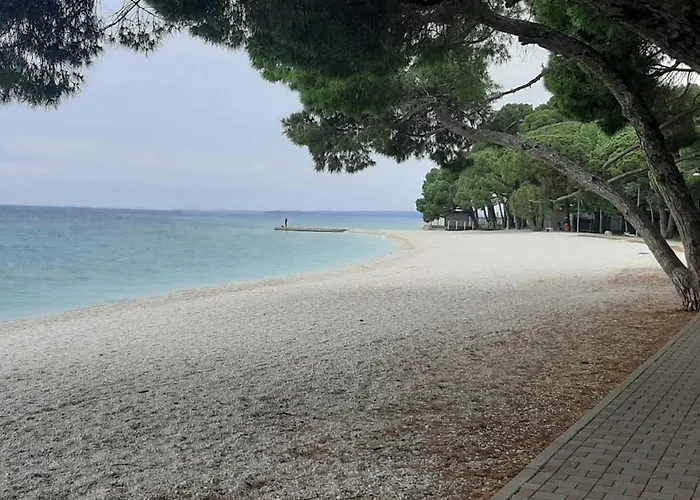 Διαμέρισμα Mango