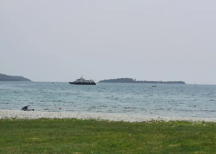 Mango Fažana