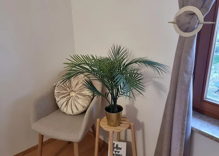 Mango * Fažana